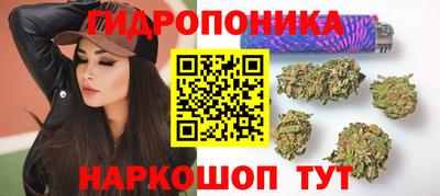 бошки Будённовск