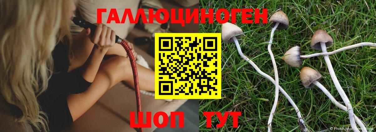 Галлюциногенные грибы мухоморы  Вход с VPN  Ростов Великий 